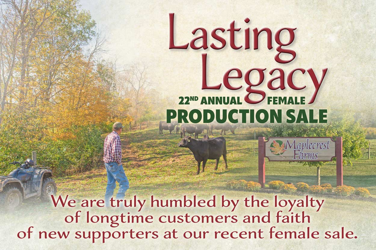 Maplecrest Fall Female Sale Thank You Artwork