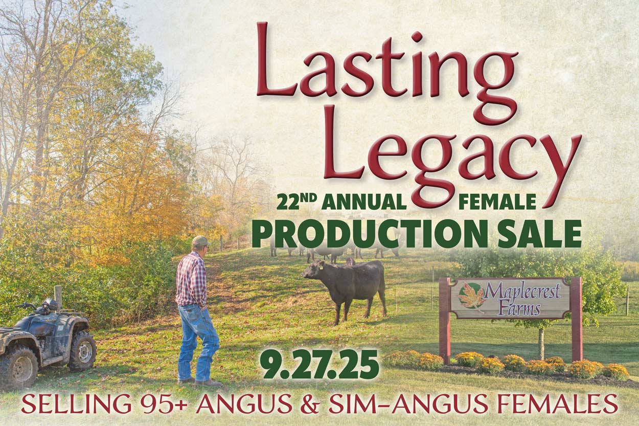 Spring Bull Sale Thank You