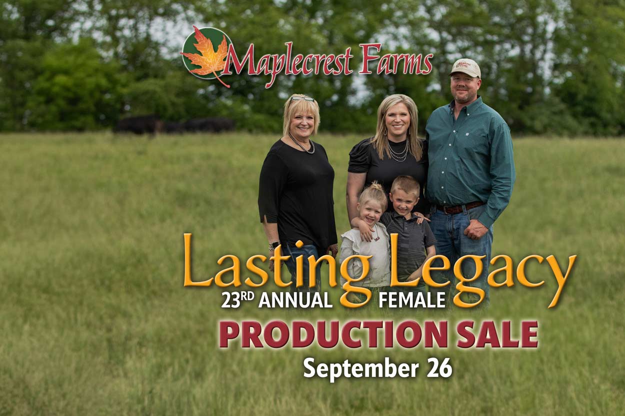 Maplecrest Fall Production Sale Artwork